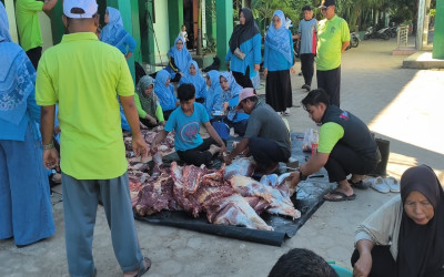 MTsN 2 Lampung Tengah Sembelih Dua Ekor Sapi, Tanamkan Nilai Keikhlasan dan Kepedulian Melalui Pembelajaran Kurban